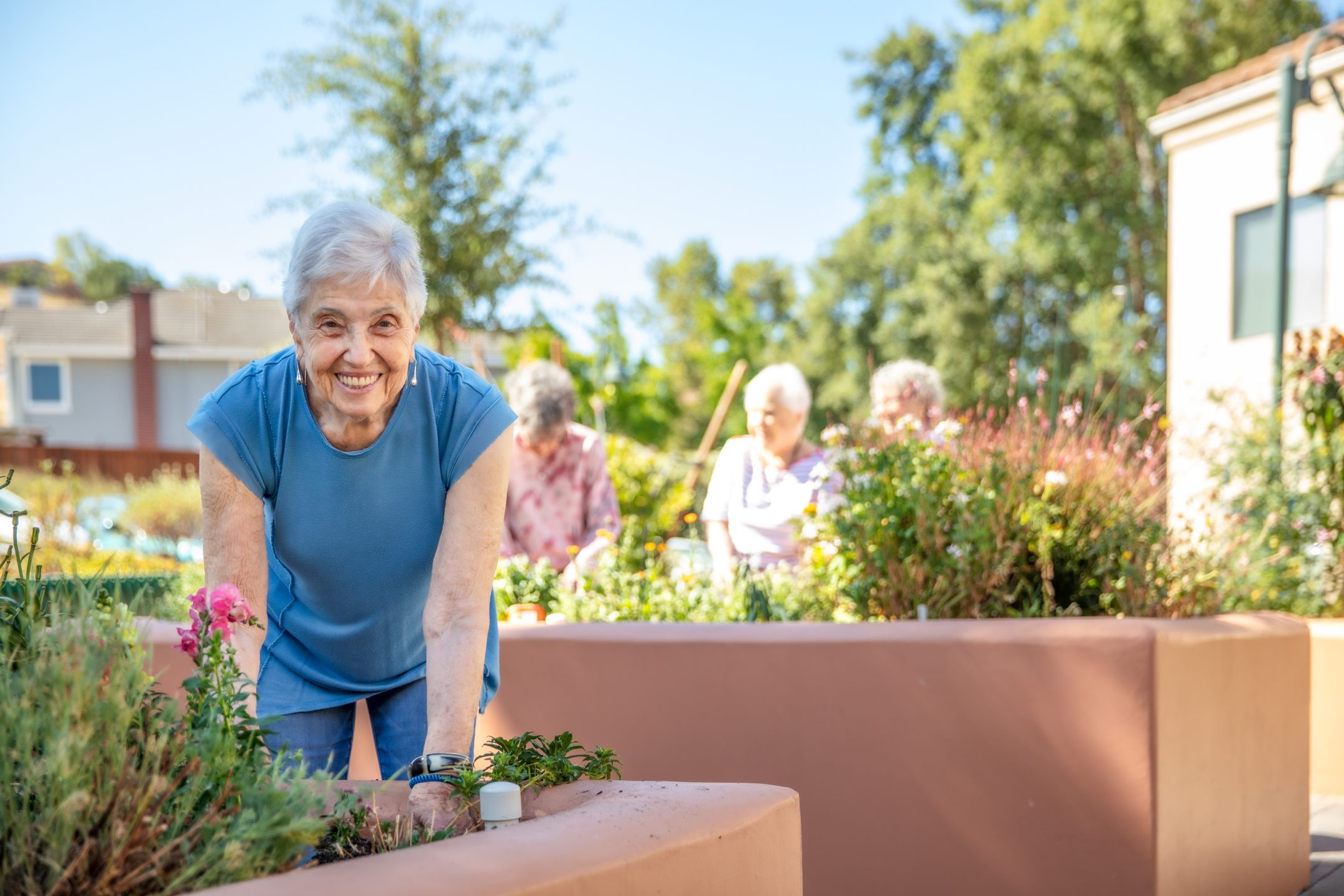 An older woman in a blue shirt smiles while gardening outdoors, leaning over a raised planter. In the background, three other seniors enjoy volunteer opportunities as they tend to plants in a sunny, green garden setting.